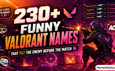 Funny Valorant Names