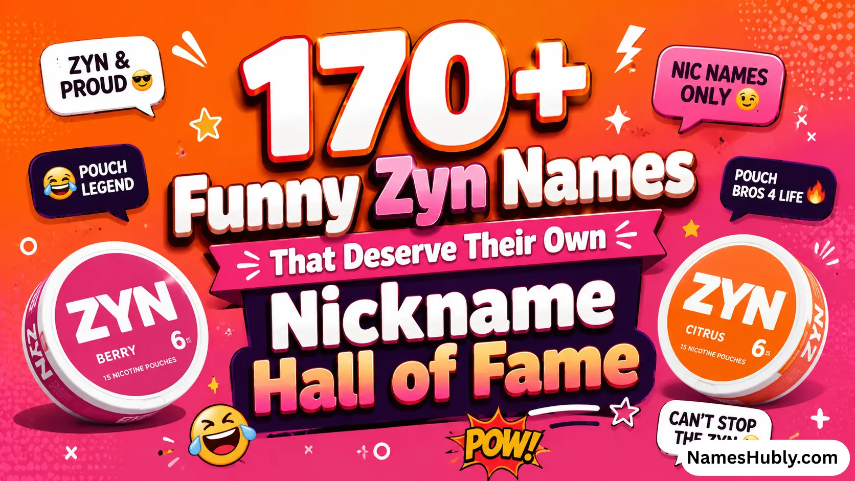 170+ Funny Zyn Names