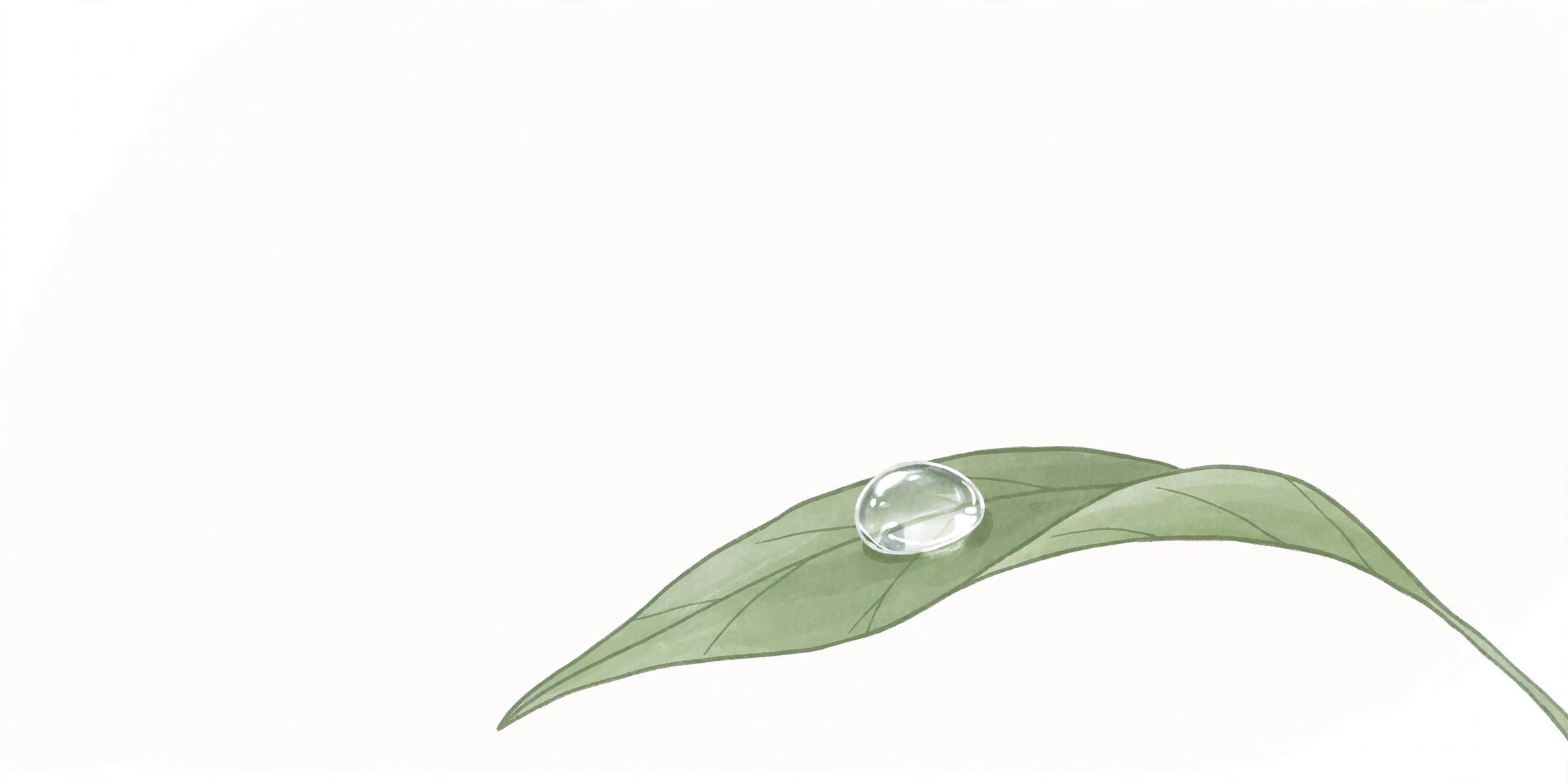 Single dewdrop resting on a green leaf, minimalist aesthetic usernames art